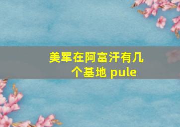 美军在阿富汗有几个基地 pule